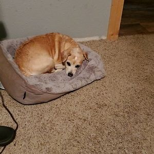 Meet your Posher, Bradley